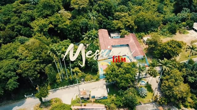 Casa colonial entre palmeras en San Esteban, vista aérea